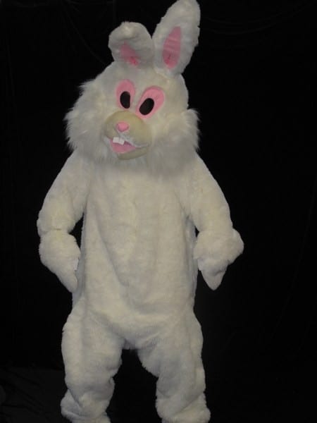 Featured image for “Bunny”