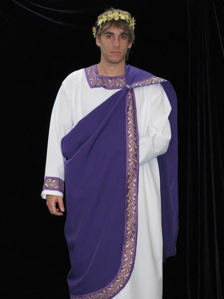 Hire Julius Caeser (Purple) Costume in Reservoir