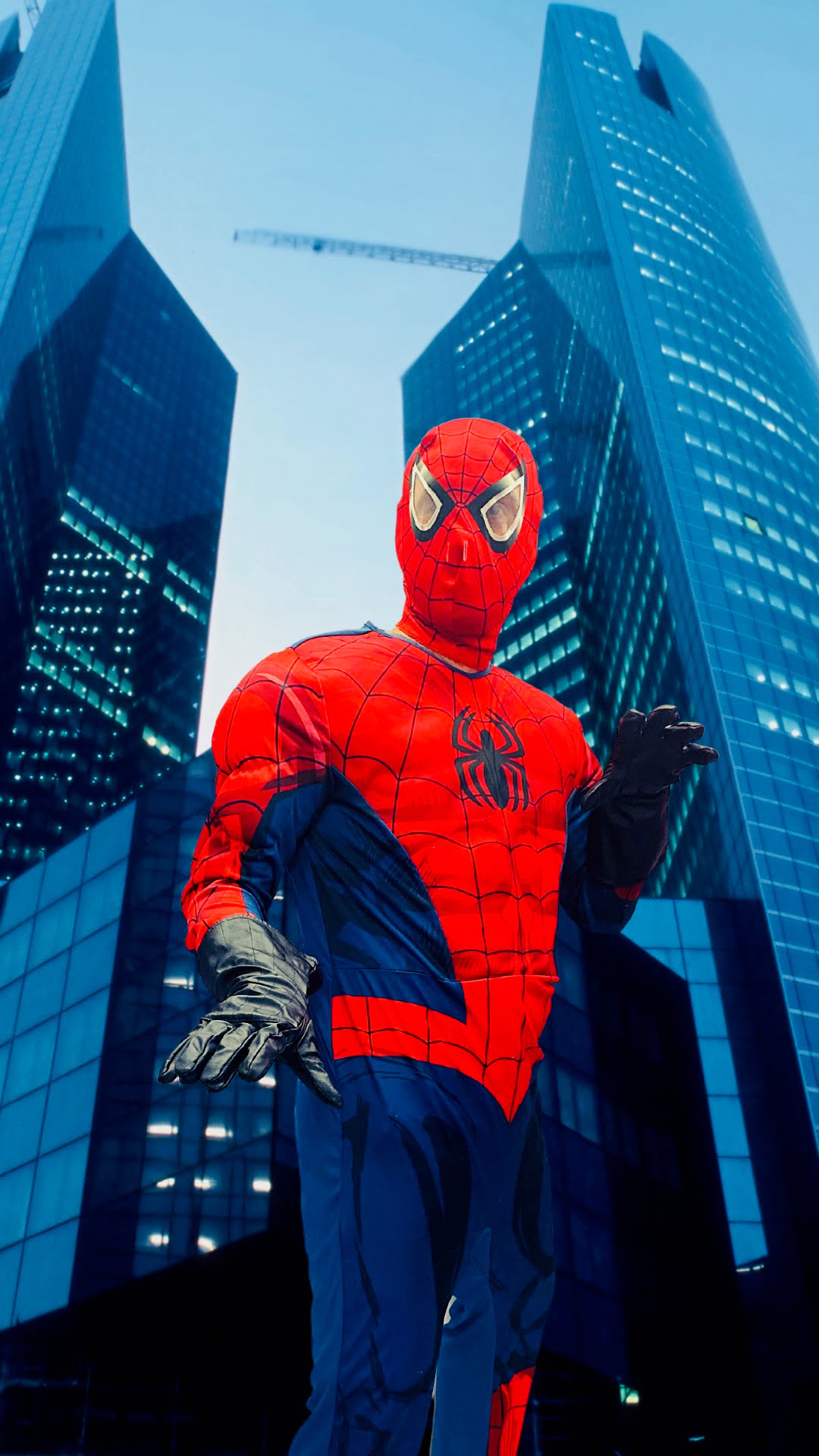 Featured image for “Spiderman”