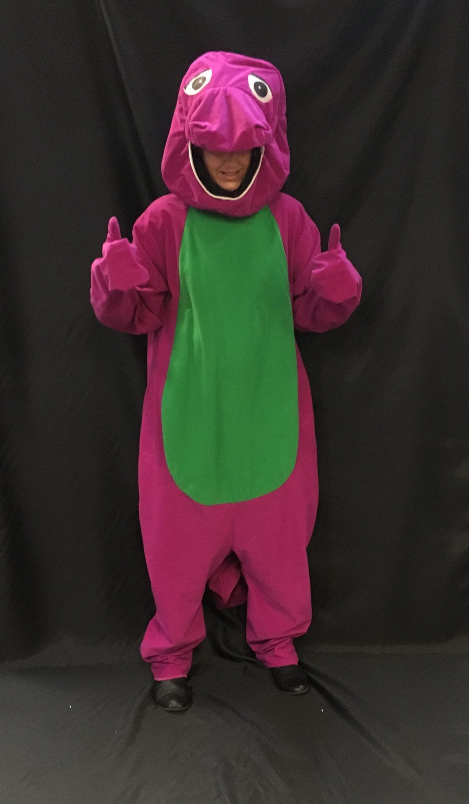 Featured image for “Barney (Dinosaur)”