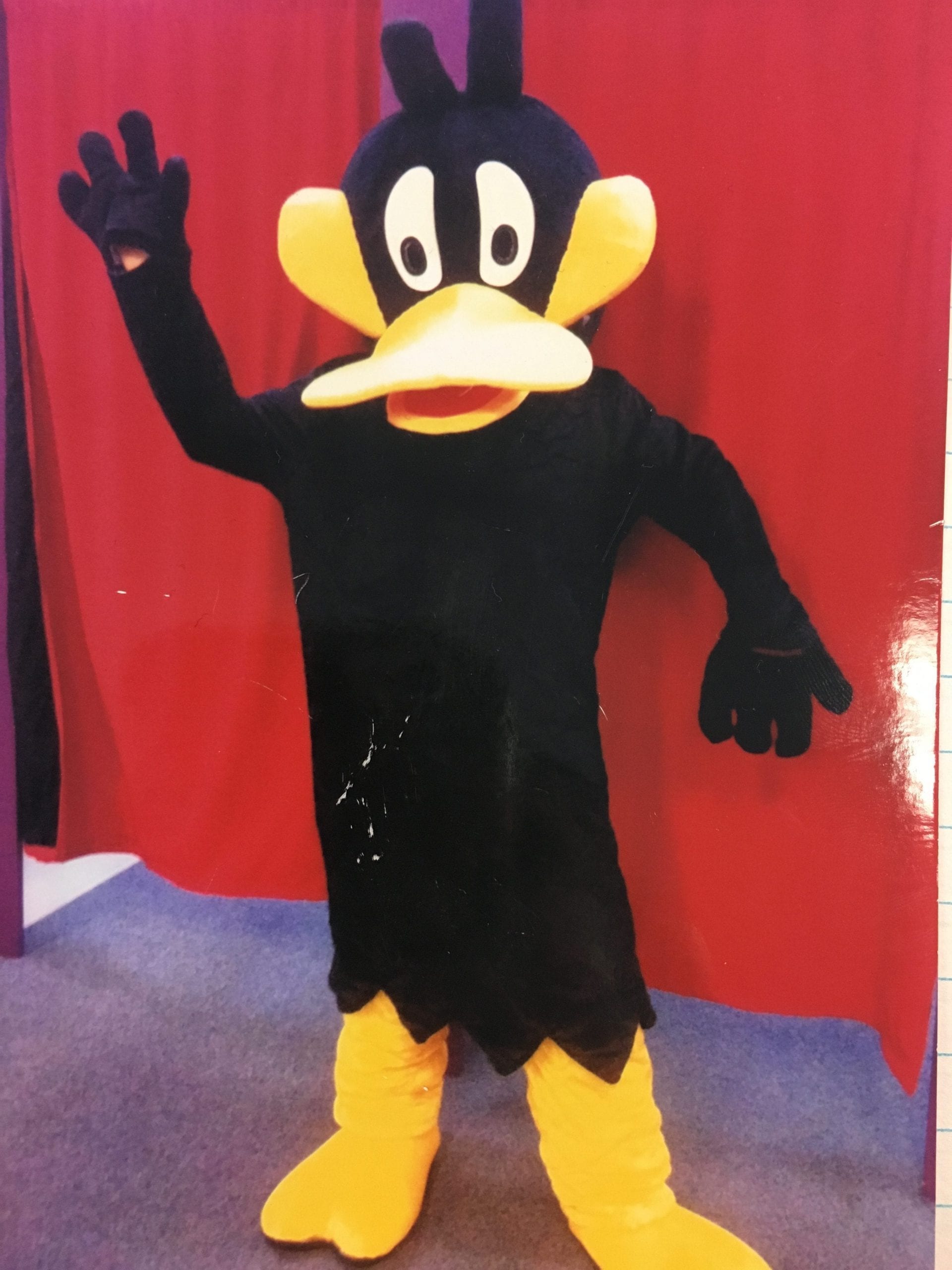 Featured image for “Daffy Duck (Mascot)”