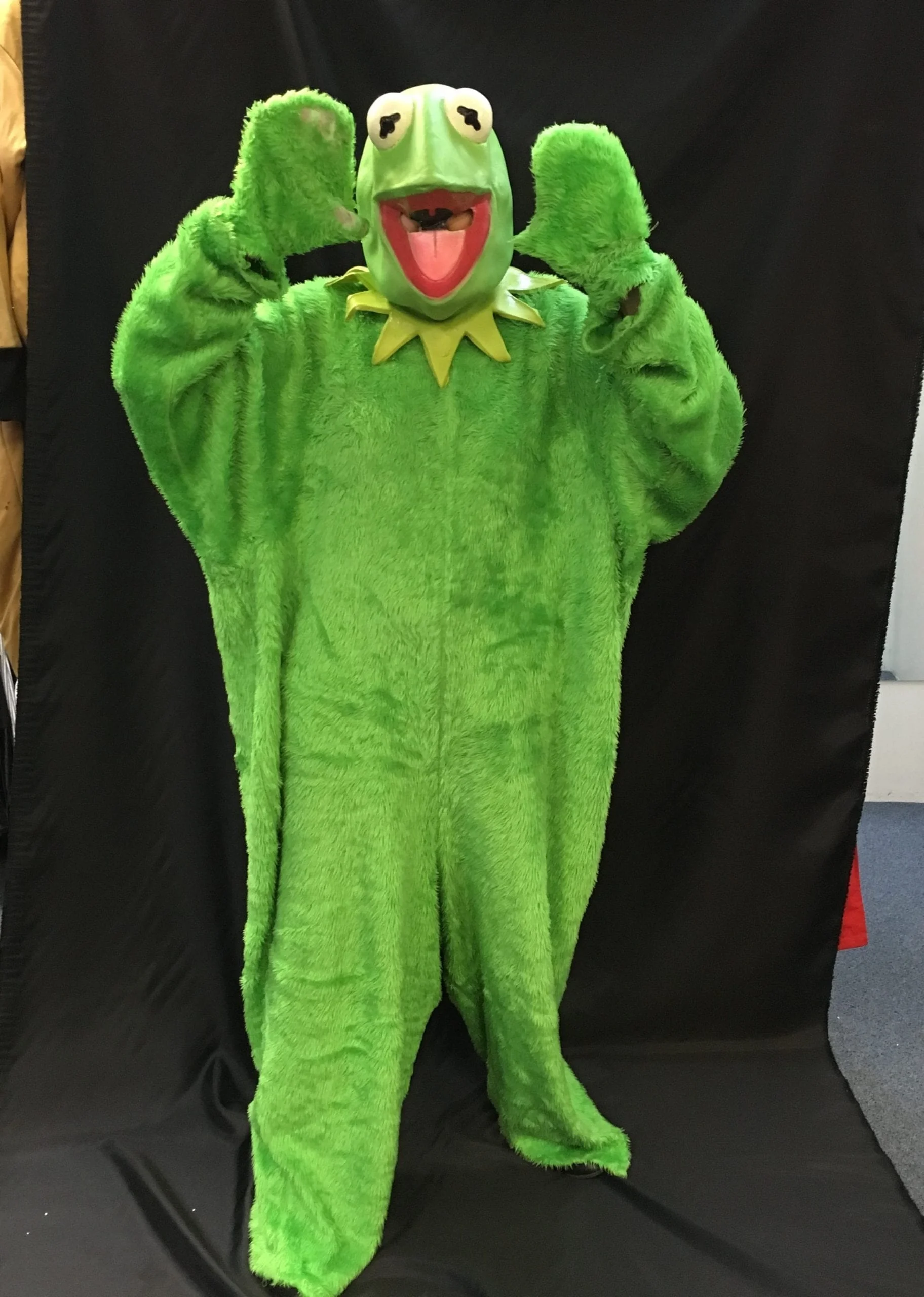 Kermit kigurumi 2024