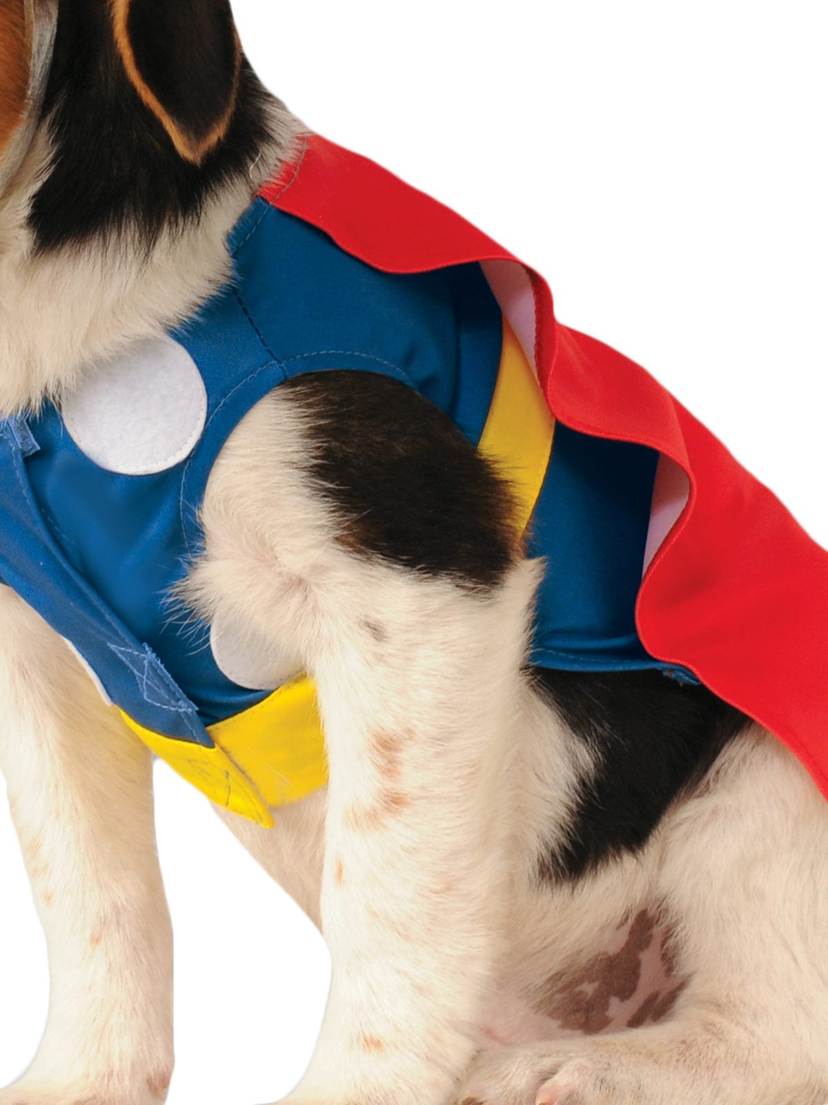 Thor, Pet Costume  The Costumery