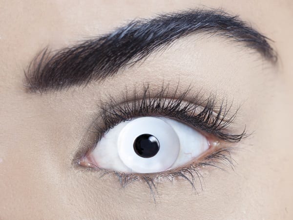 Featured image for “Sclera Mini White – 1 Day Lenses”