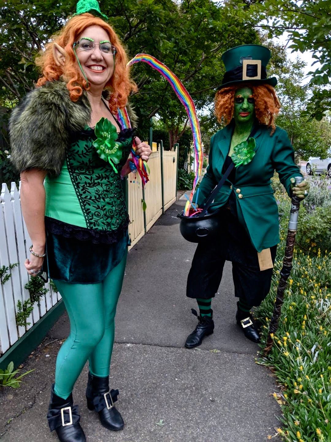 Featured image for “2 x Leprechauns”