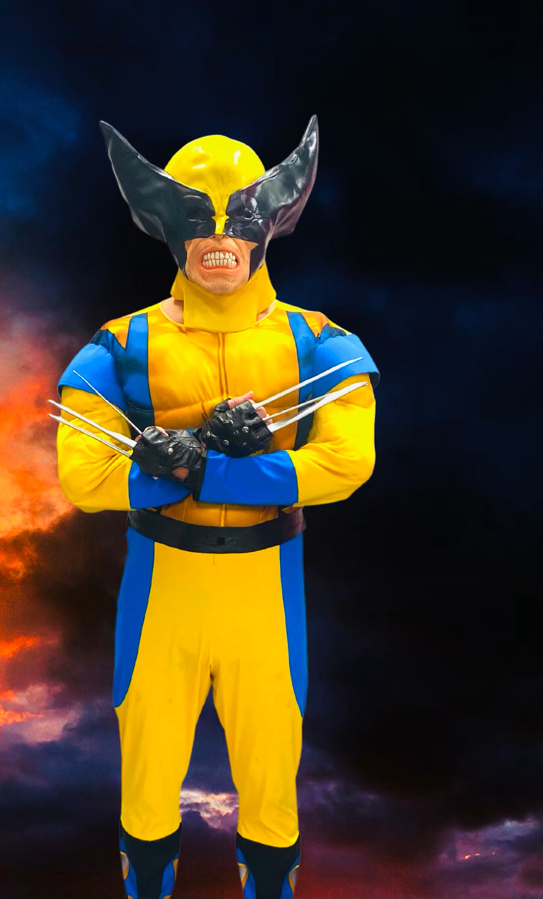 Featured image for “Wolverine (Mask)”