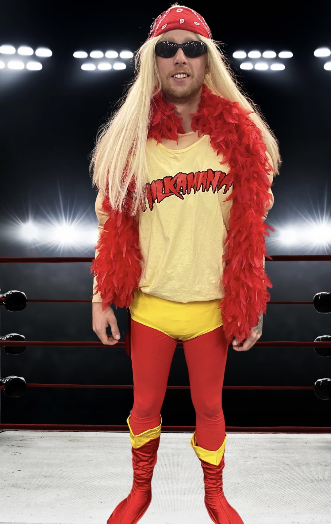 Featured image for “Hulk Hogan Wrestler”