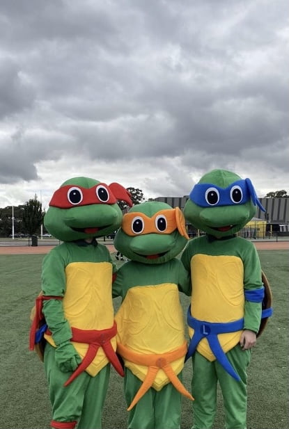 Hire Ninja Turtles Costume in Reservoir