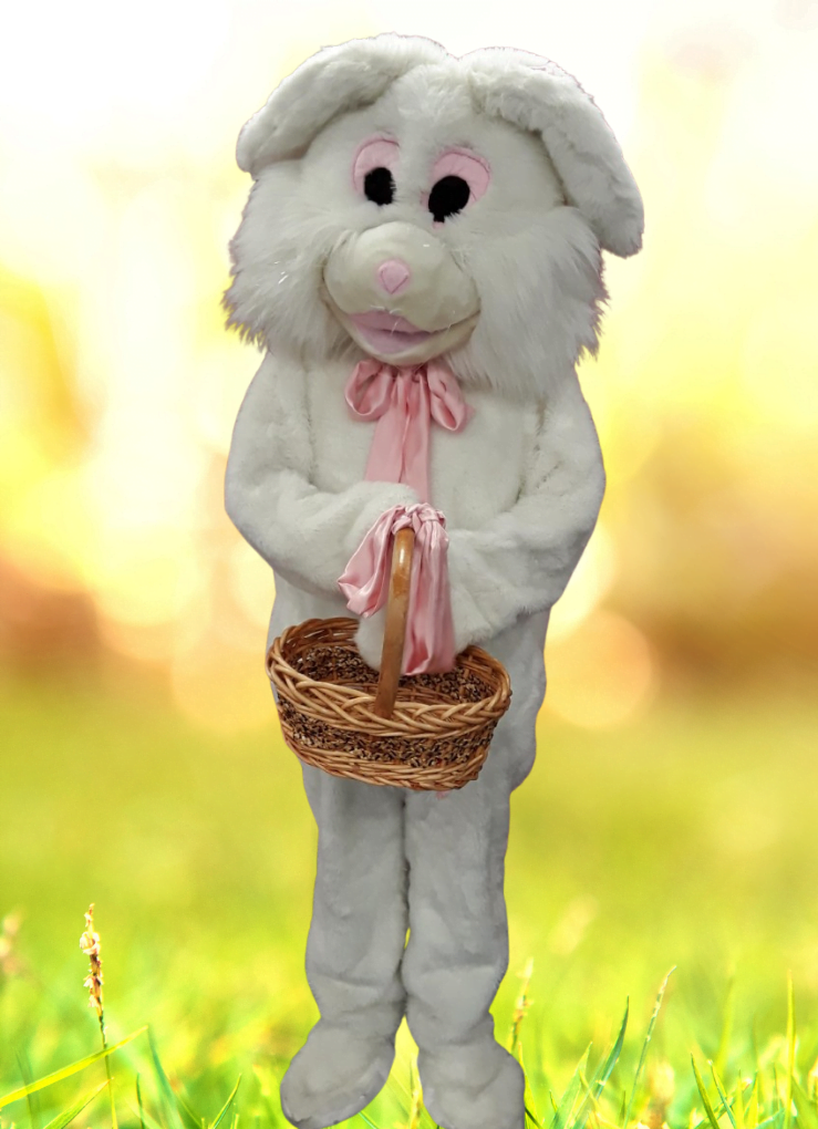 Featured image for “Fluffy Bunny Mascot”