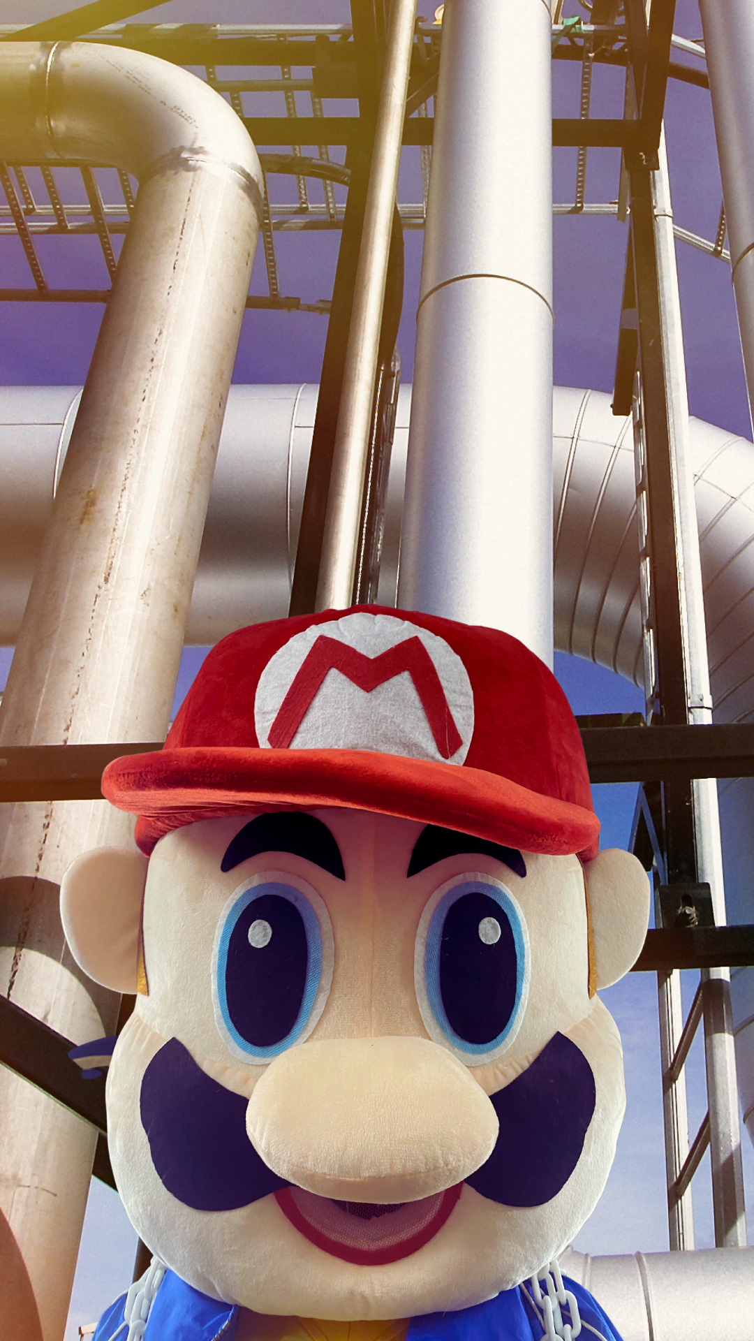 Featured image for “Mario Bros Mascot”