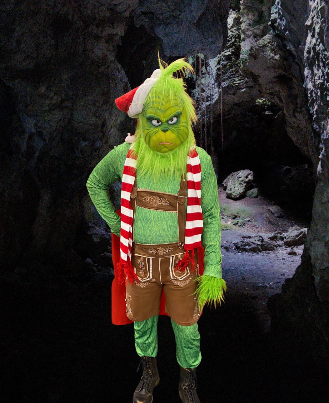 Featured image for “Grinch”