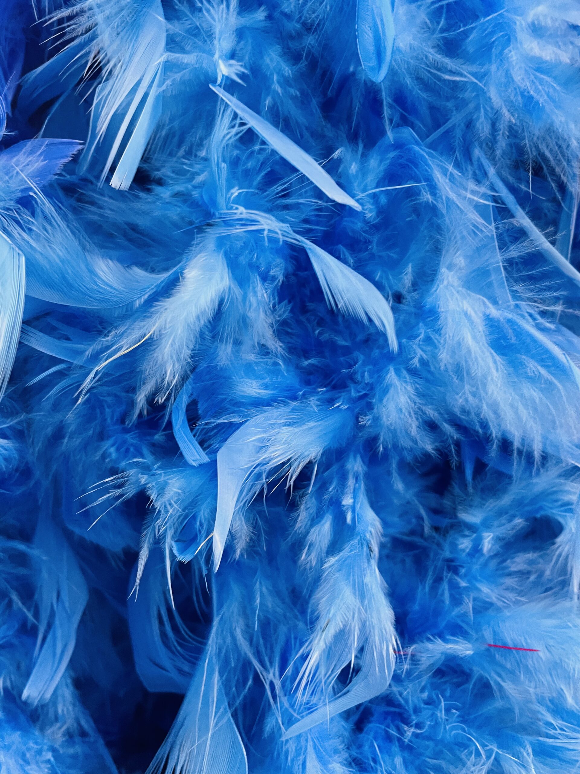 Featured image for “Feather Boa Light Blue”