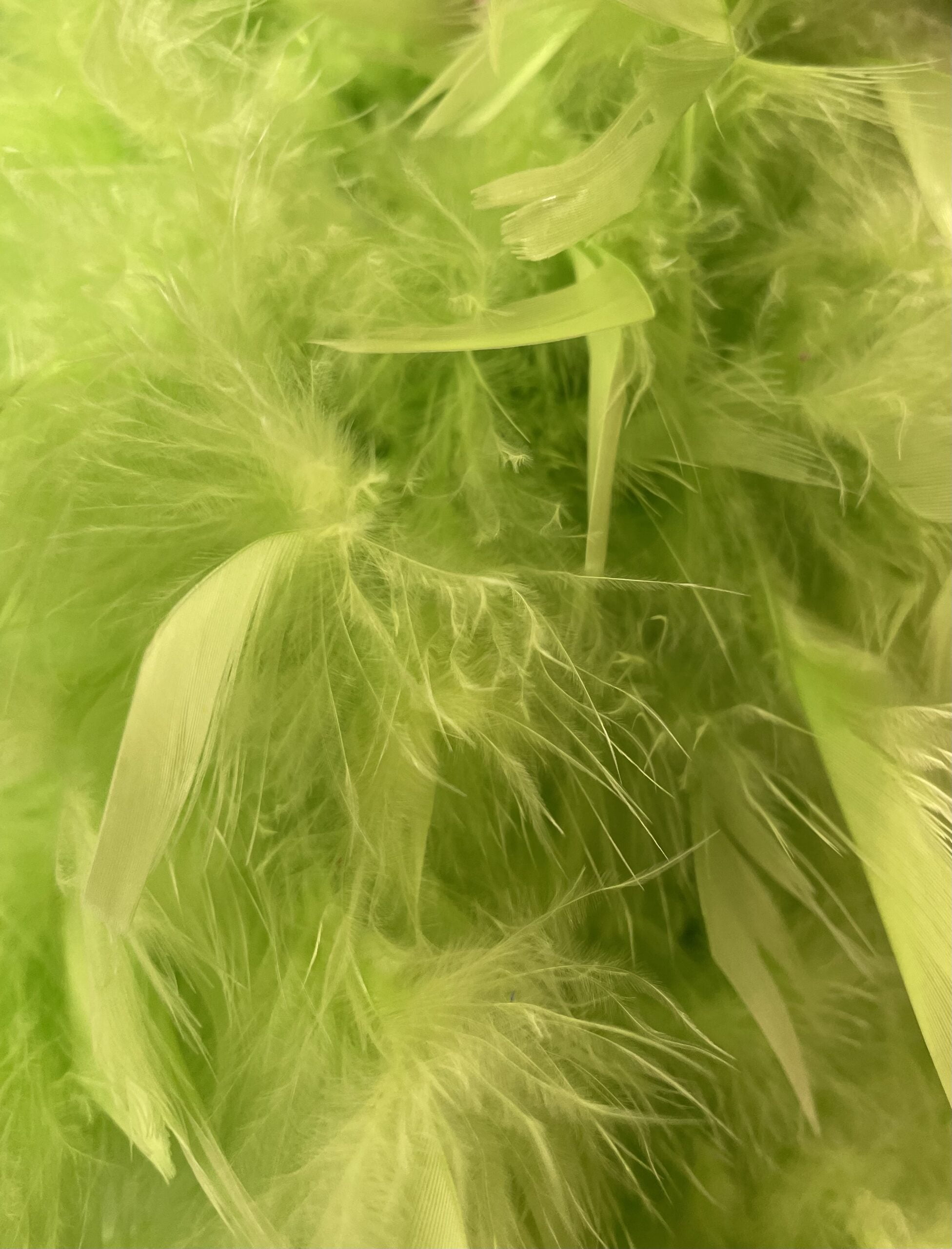 Featured image for “Feather Boa Lime Green”