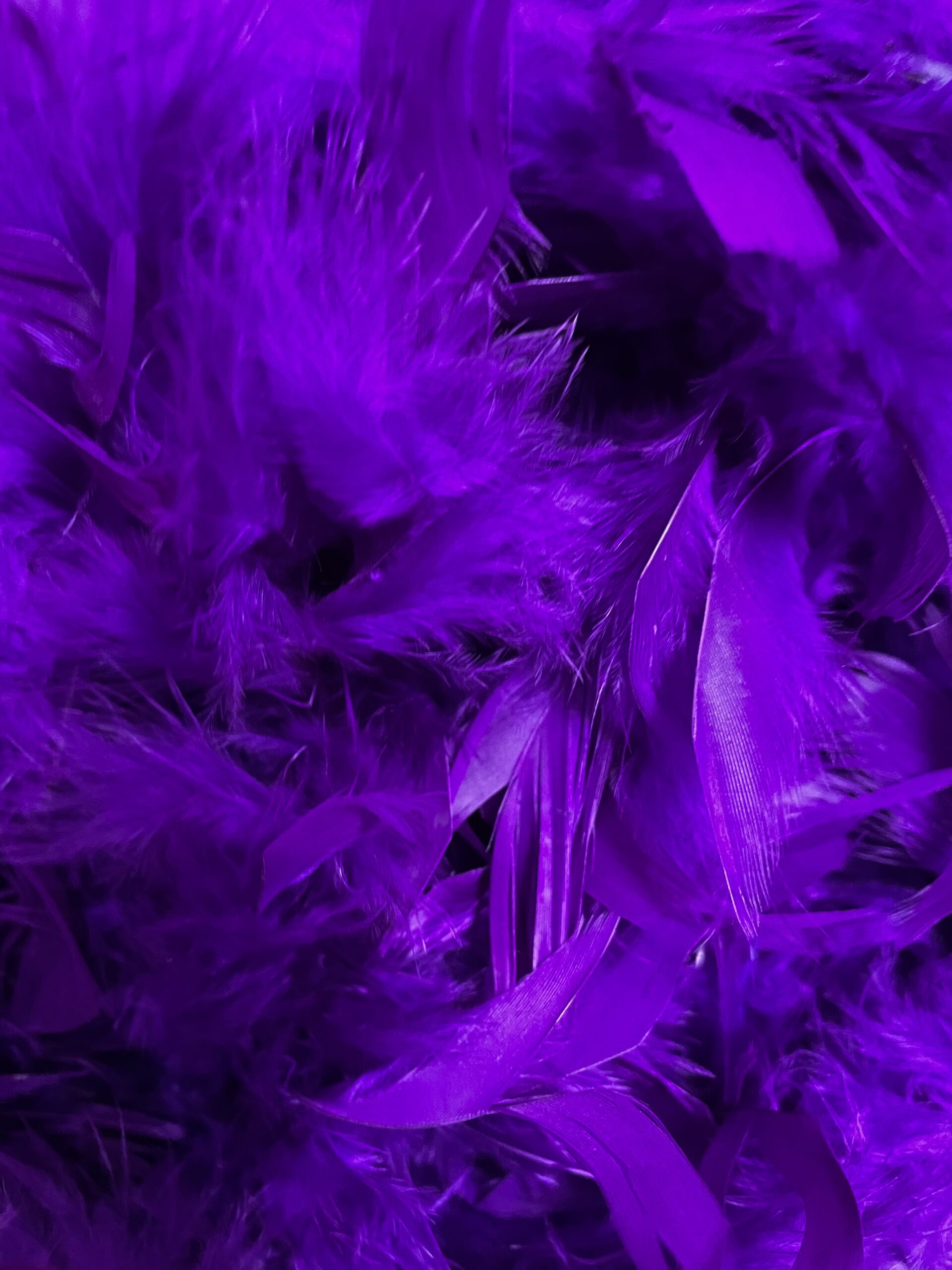 Featured image for “Feather Boa Purple”
