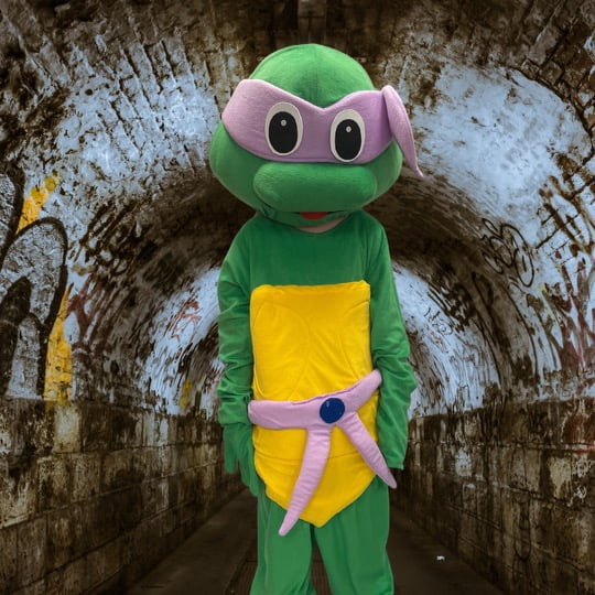 Hire Turtle Donatello Costume in Reservoir