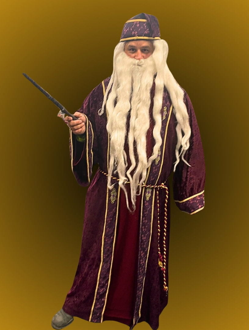 Featured image for “Dumbledore Wizard”